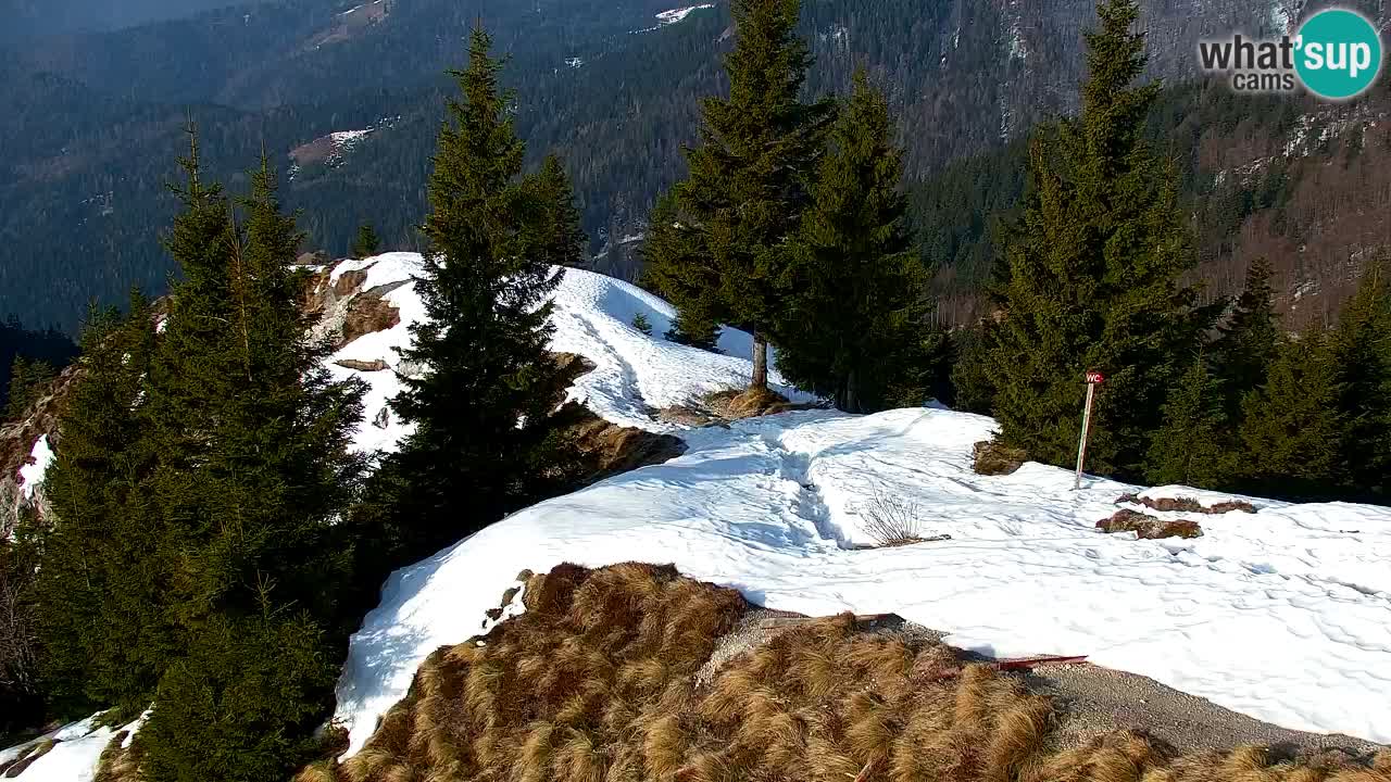 Spletna kamera Koča na Golici (1582 m) – Jesenice