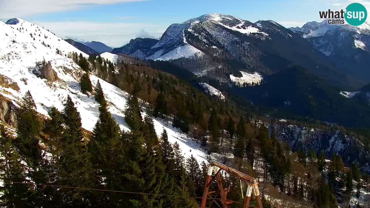 Webcam Koča na Golici (1582 m) – Slovenia
