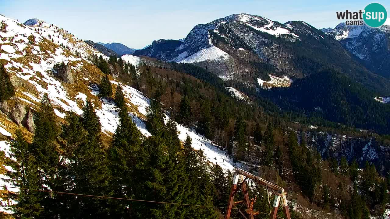Koča na Golici Webcam (1582 m) – Slowenien