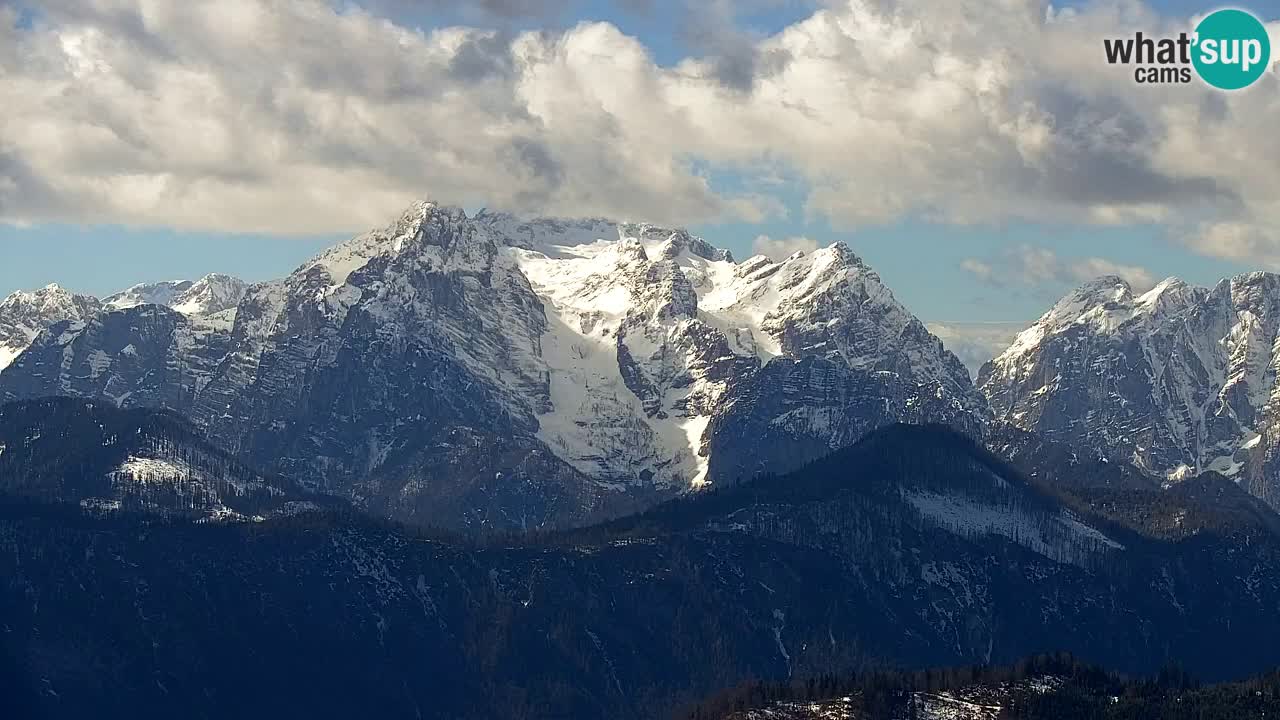 Webcam Koča na Golici (1582 m) – Slovenia