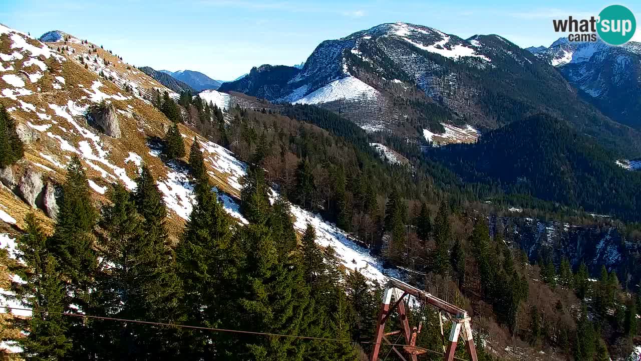 Webcam Koča na Golici (1582 m) – Slovenia