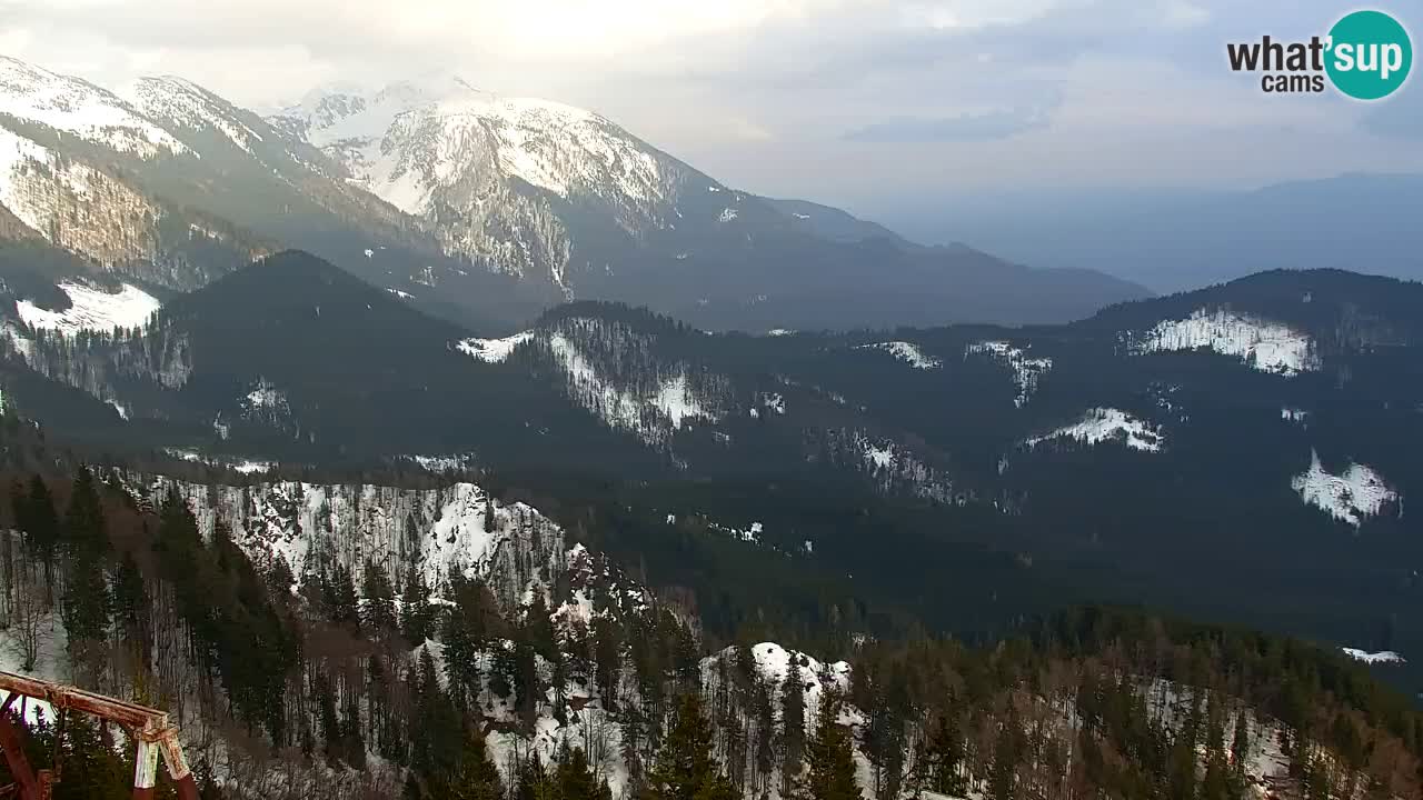 Webcam Koča na Golici (1582 m) – Slovenia