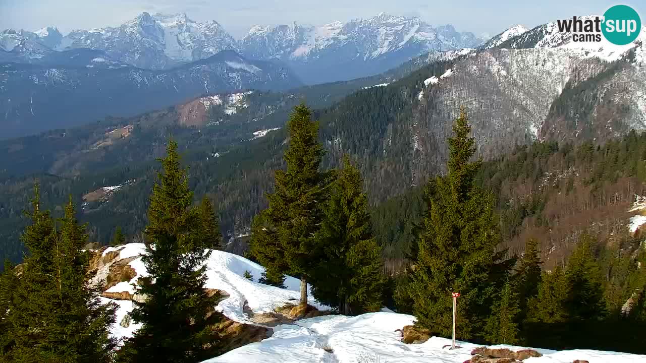 Webcam Koča na Golici (1582 m) – Slovenia