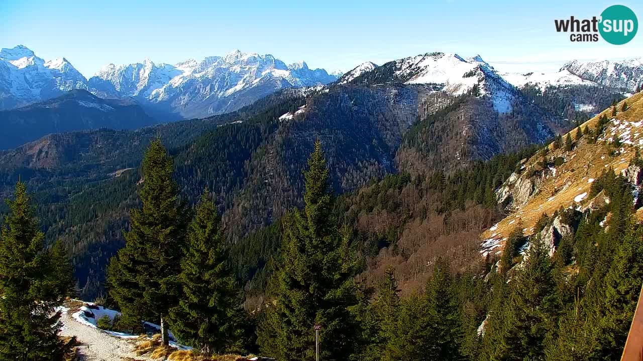 Webcam Koča na Golici (1582 m) – Slovenia