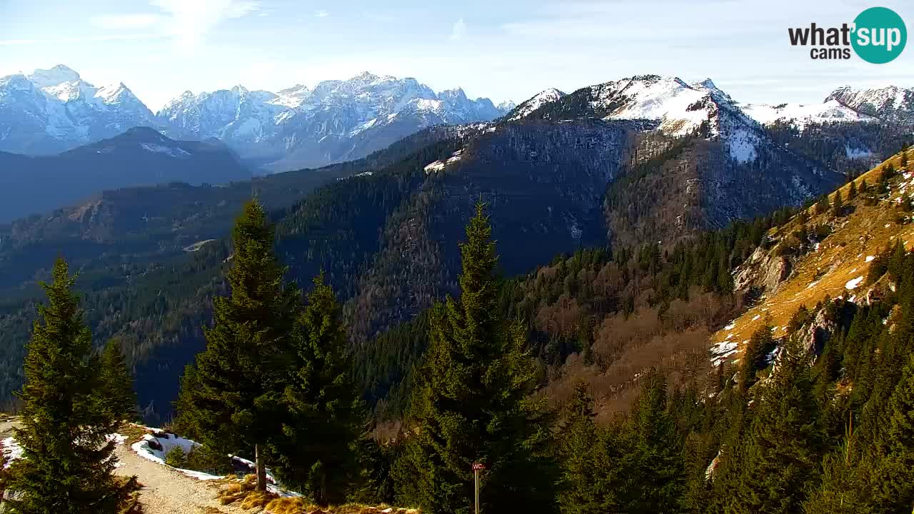 Web kamera Koča na Golici (1582 m) – Slovenija