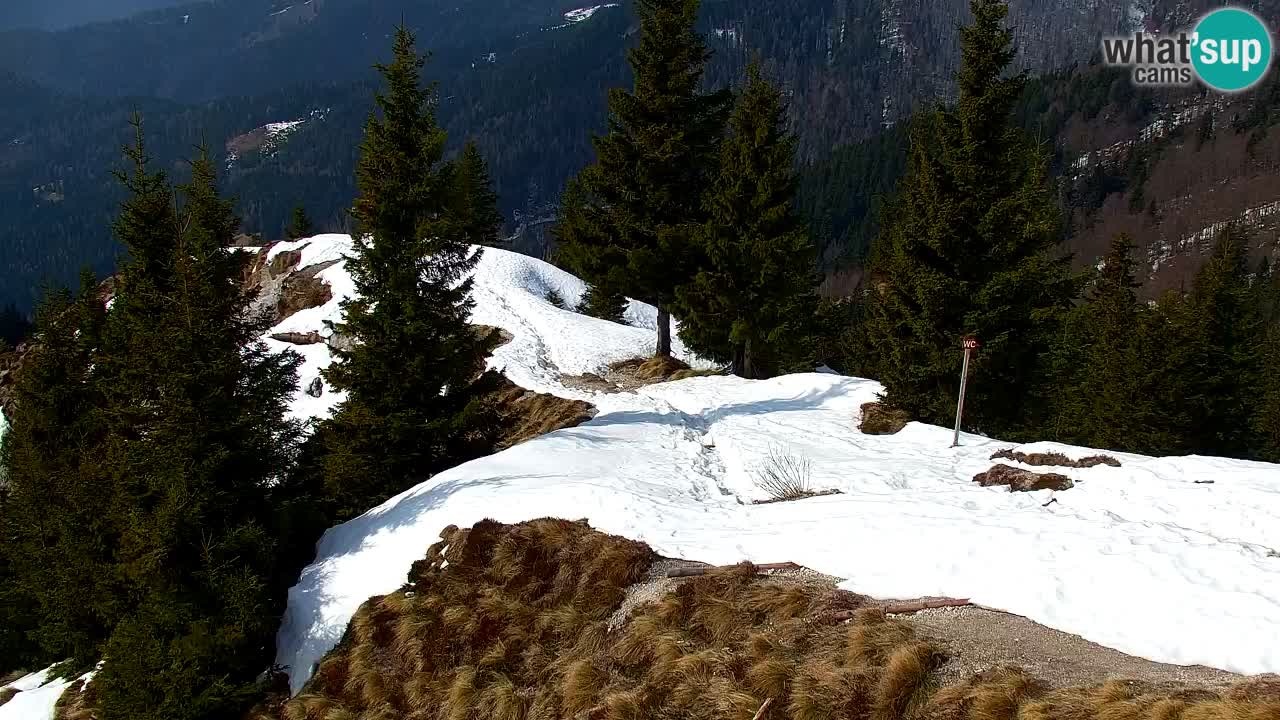 Webcam en Golica (1582 m) – Eslovenia