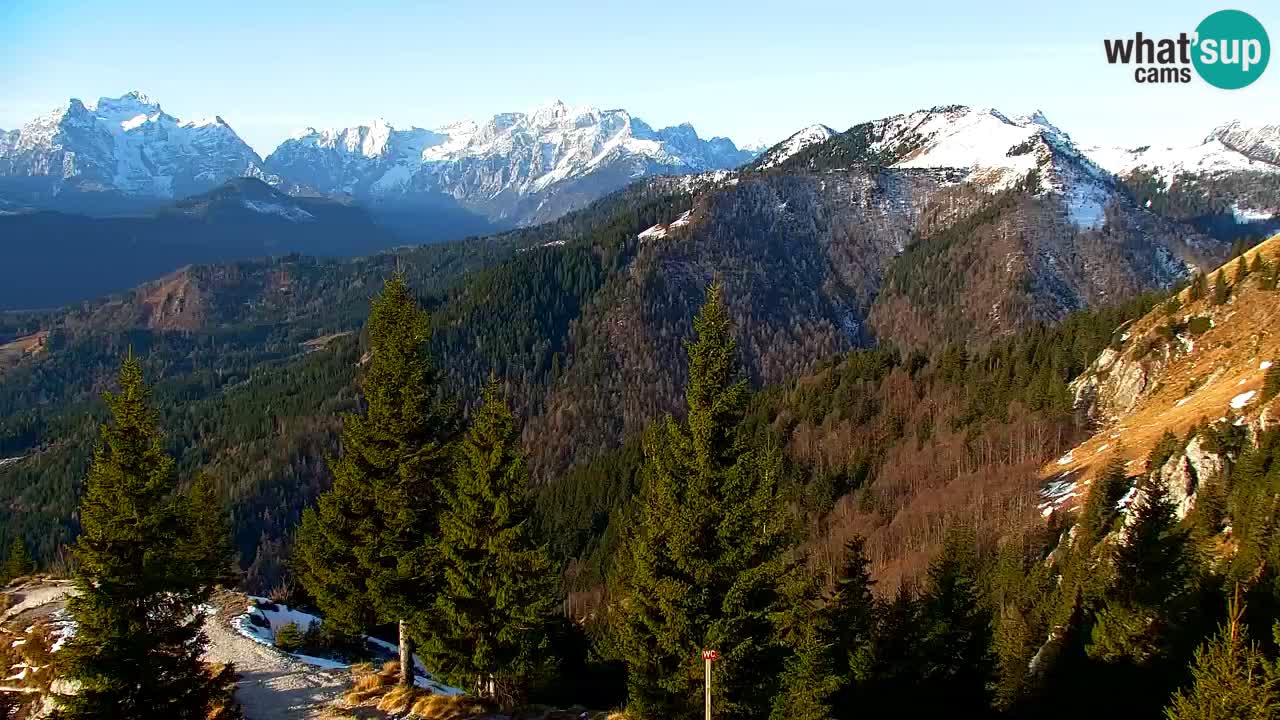 Webcam Koča na Golici (1582 m) – Slovenia