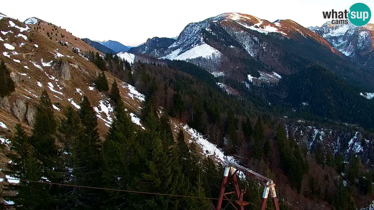 Webcam Koča na Golici (1582 m) – Slovenia