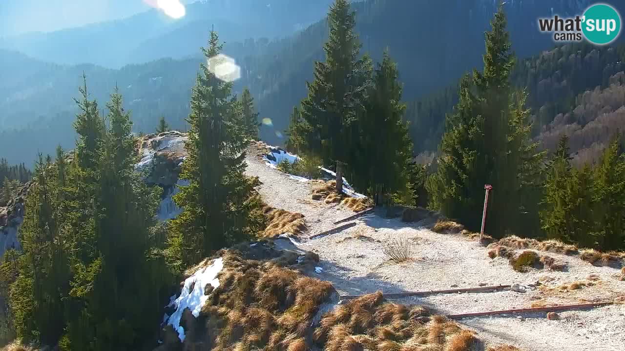 Koča na Golici Webcam (1582 m) – Slowenien