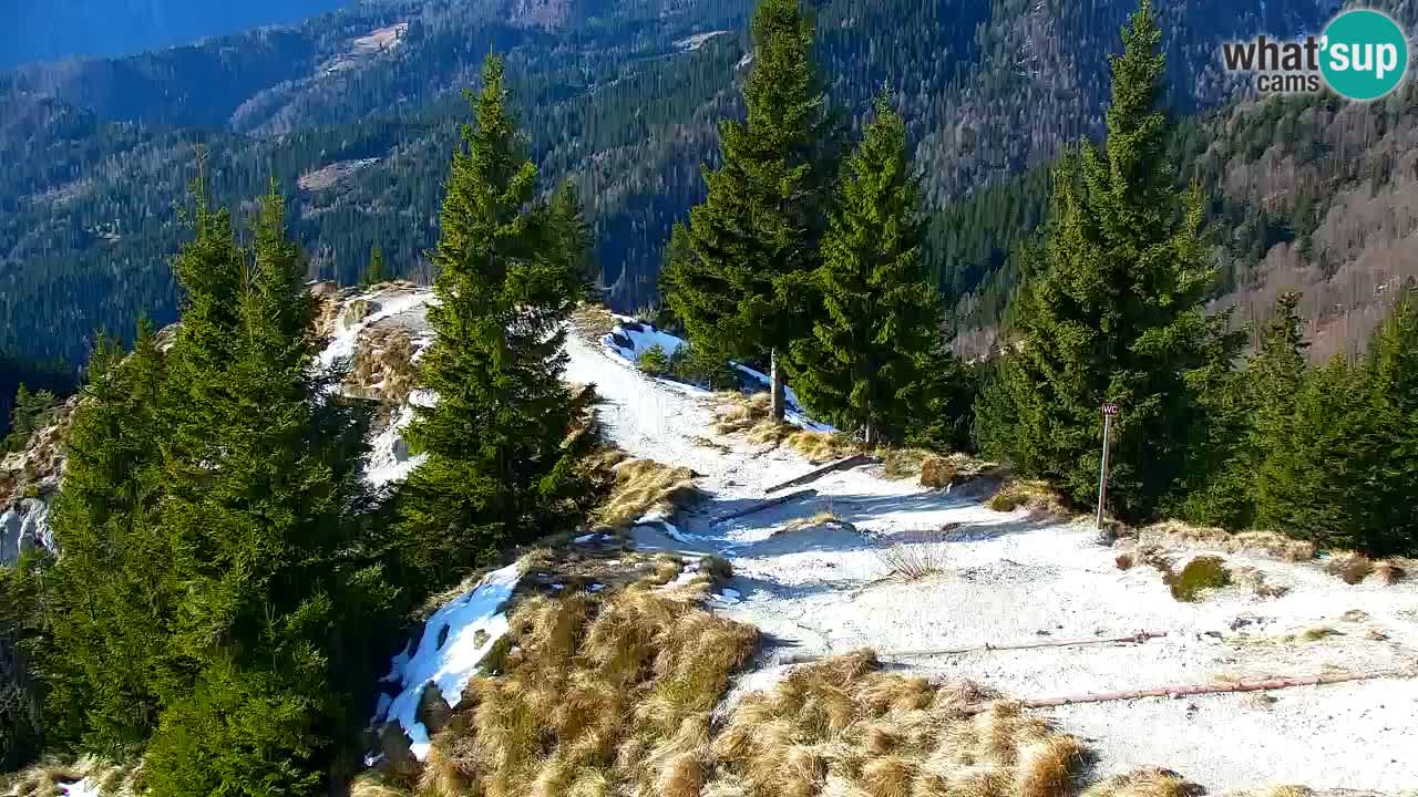 Spletna kamera Koča na Golici (1582 m) – Jesenice