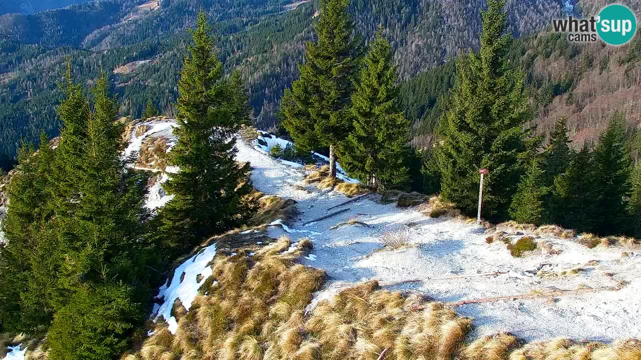 Spletna kamera Koča na Golici (1582 m) – Jesenice