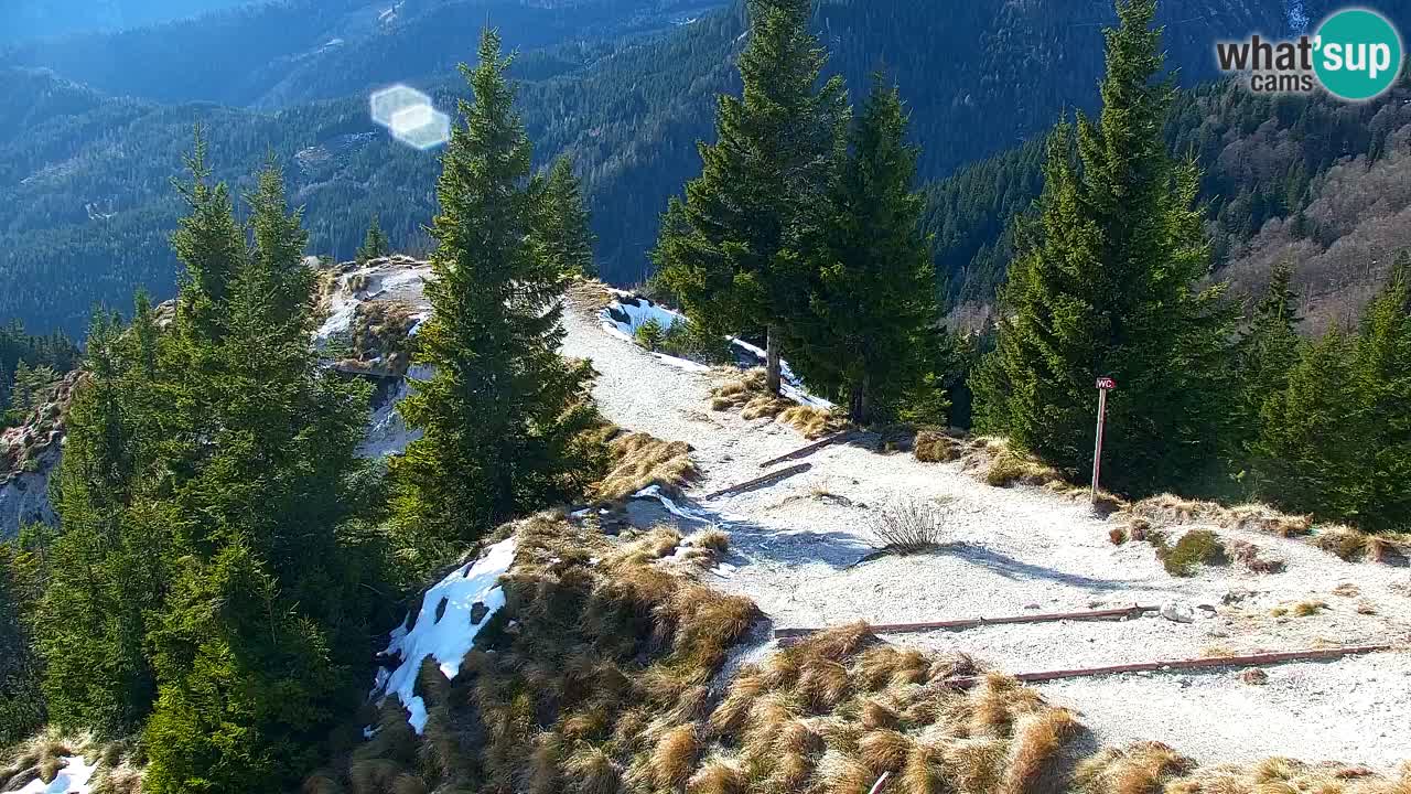 Webcam Koča na Golici (1582 m) – Slovenia