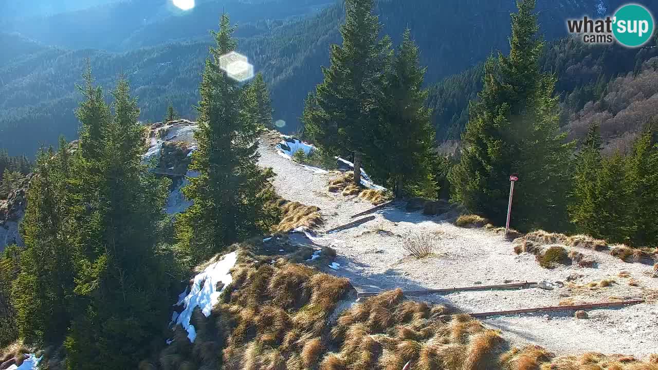 Web kamera Koča na Golici (1582 m) – Slovenija