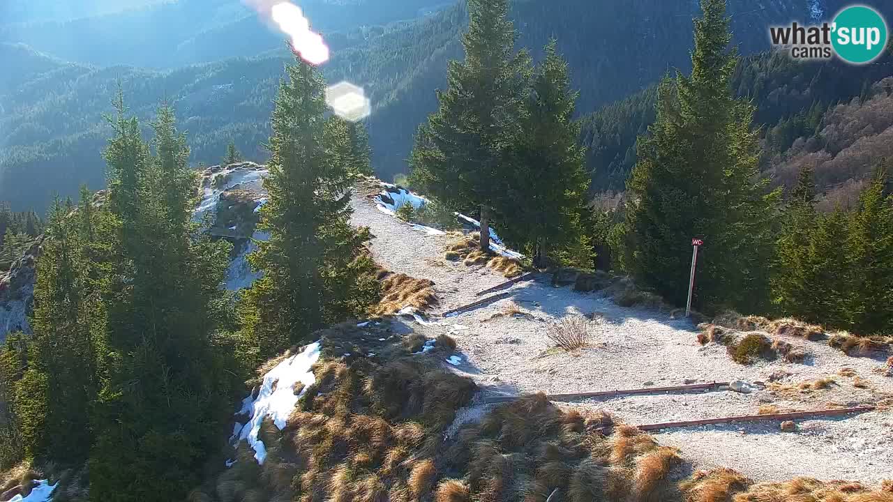 Koča na Golici Webcam (1582 m) – Slowenien