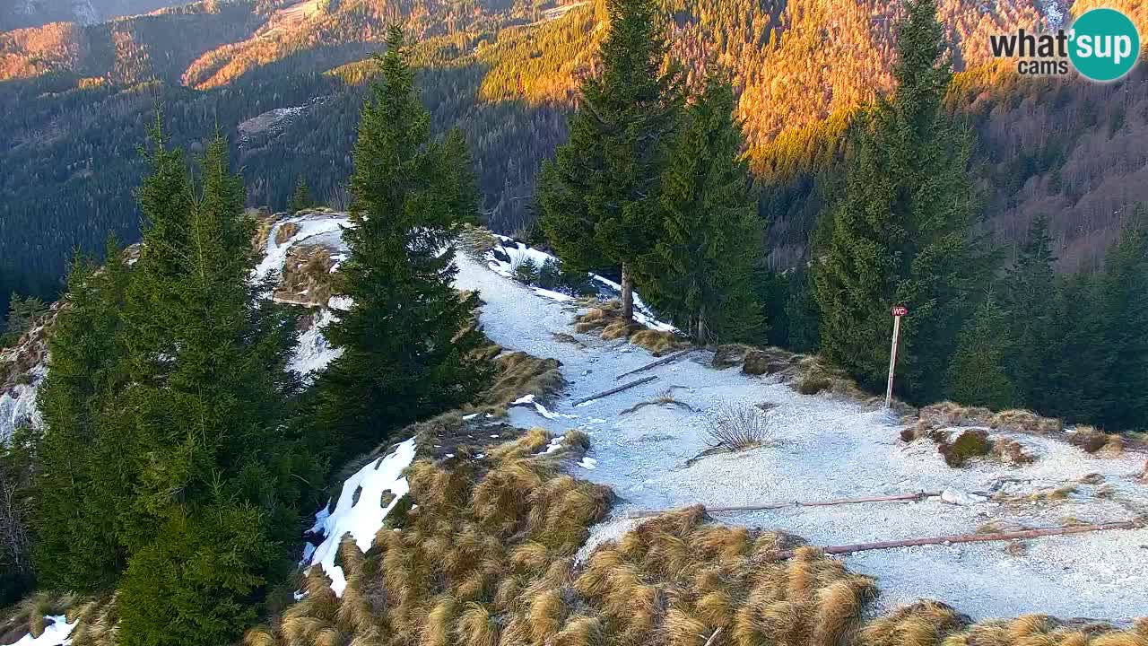 Webcam Chalet sur Golica (1582 m) – Slovénie