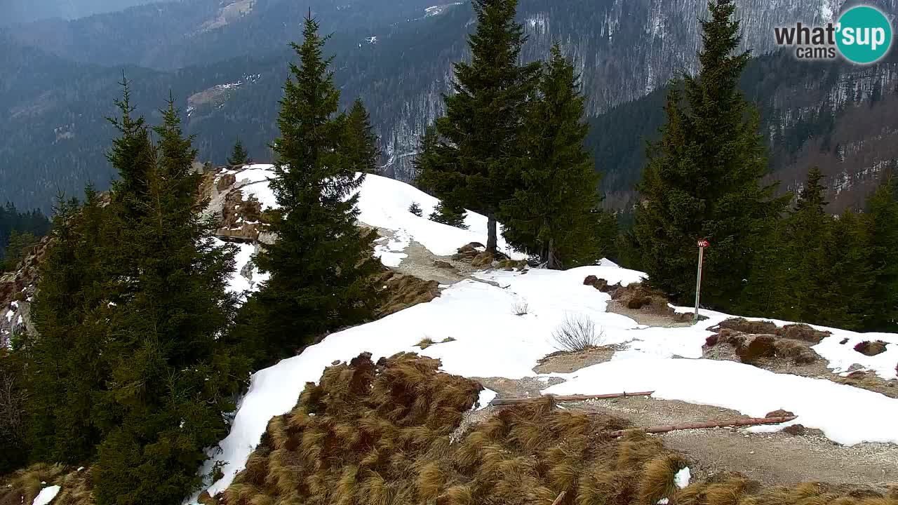 Webcam Koča na Golici (1582 m) – Slovenia
