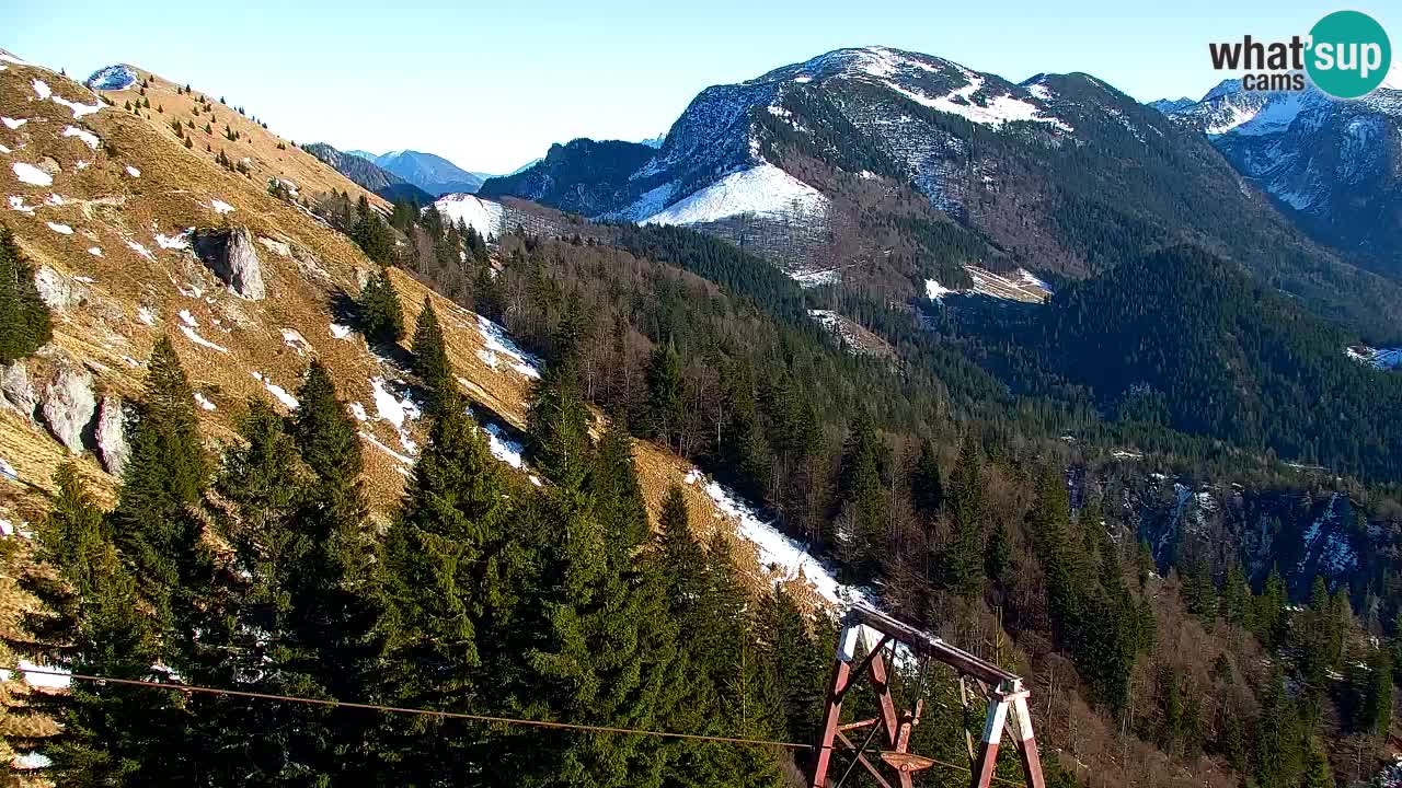 Webcam Koča na Golici (1582 m) – Slovenia