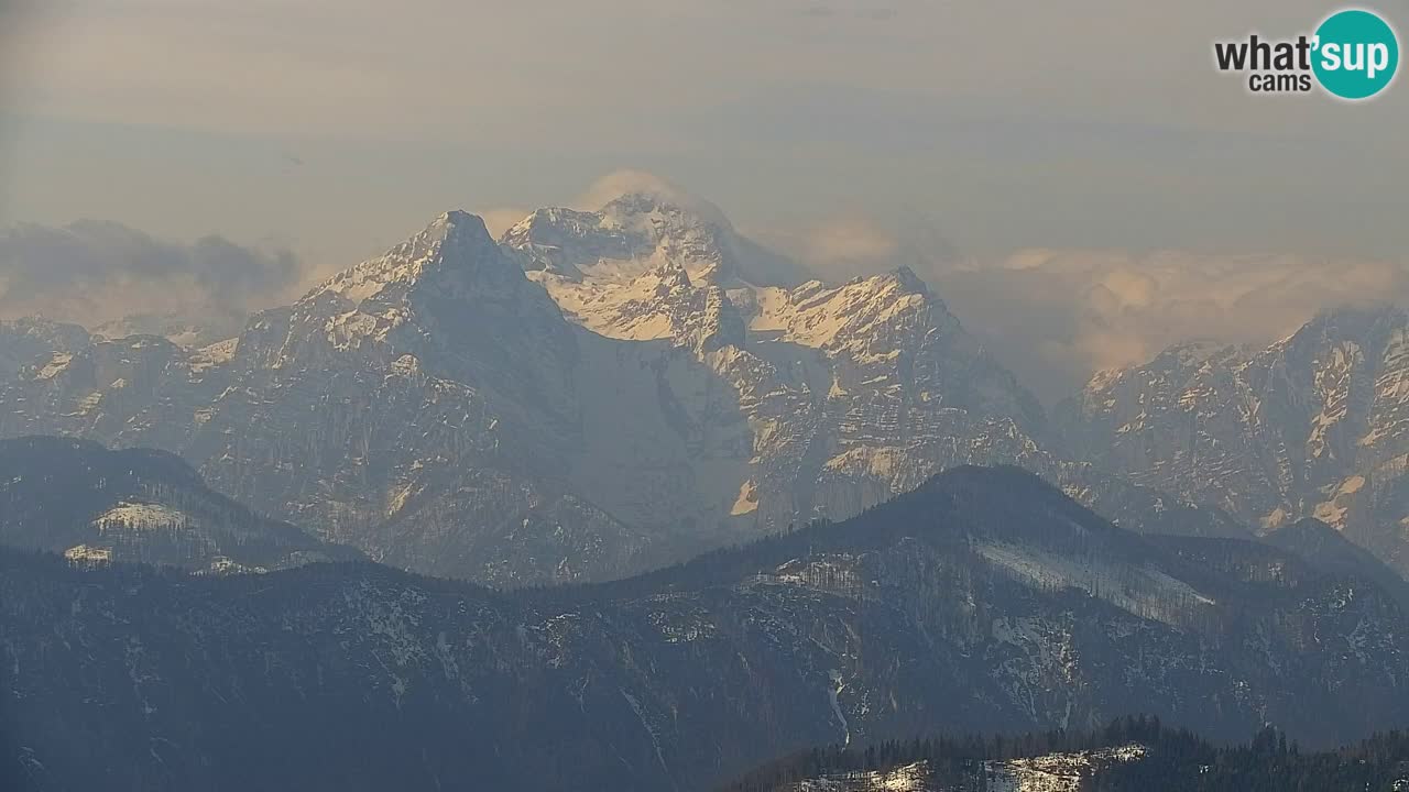 Web kamera Koča na Golici (1582 m) – Slovenija
