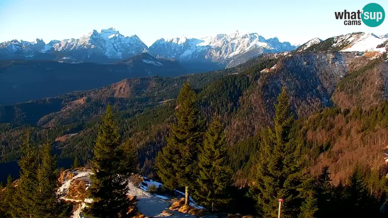 Webcam Koča na Golici (1582 m) – Slovenia