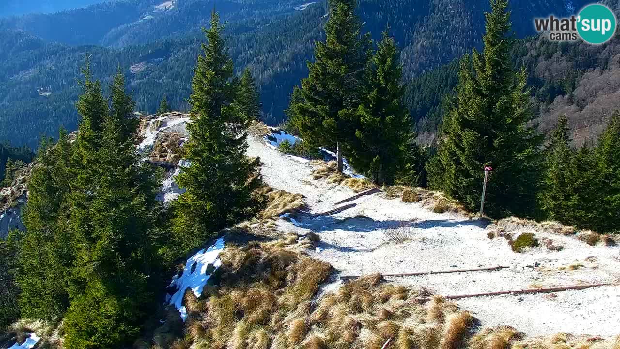 Koča na Golici Webcam (1582 m) – Slowenien
