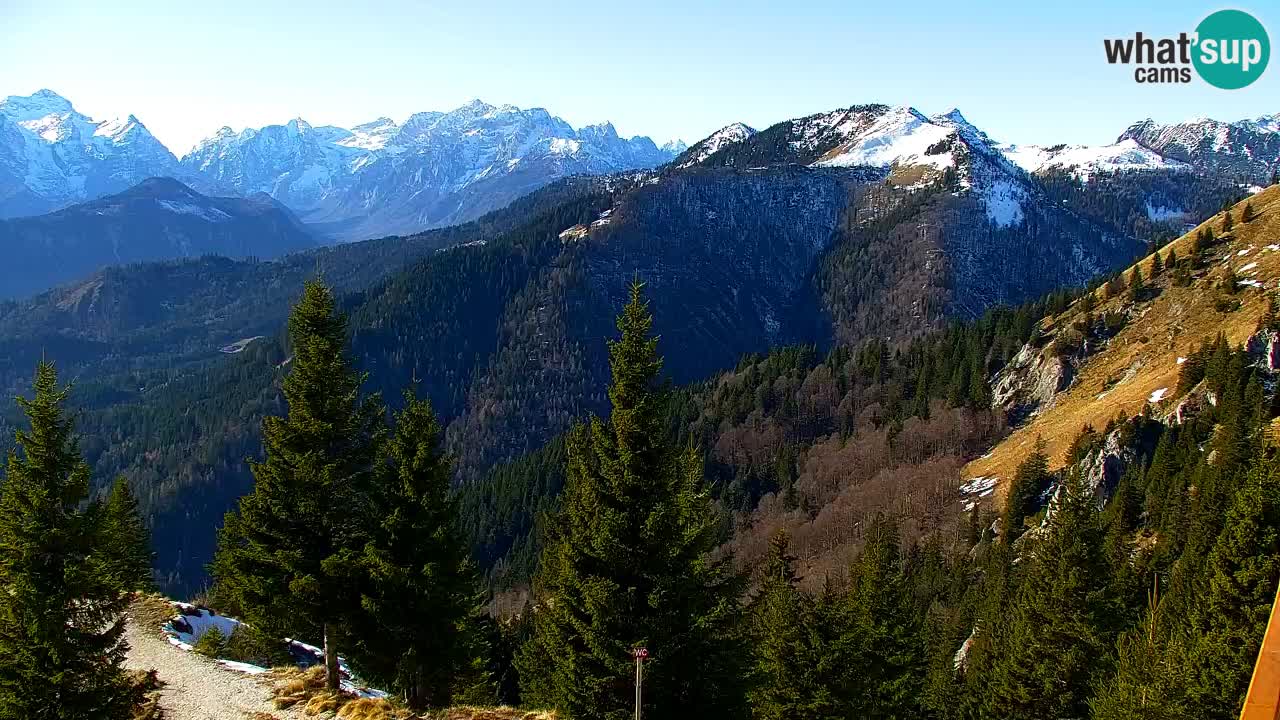 Koča na Golici Webcam (1582 m) – Slowenien