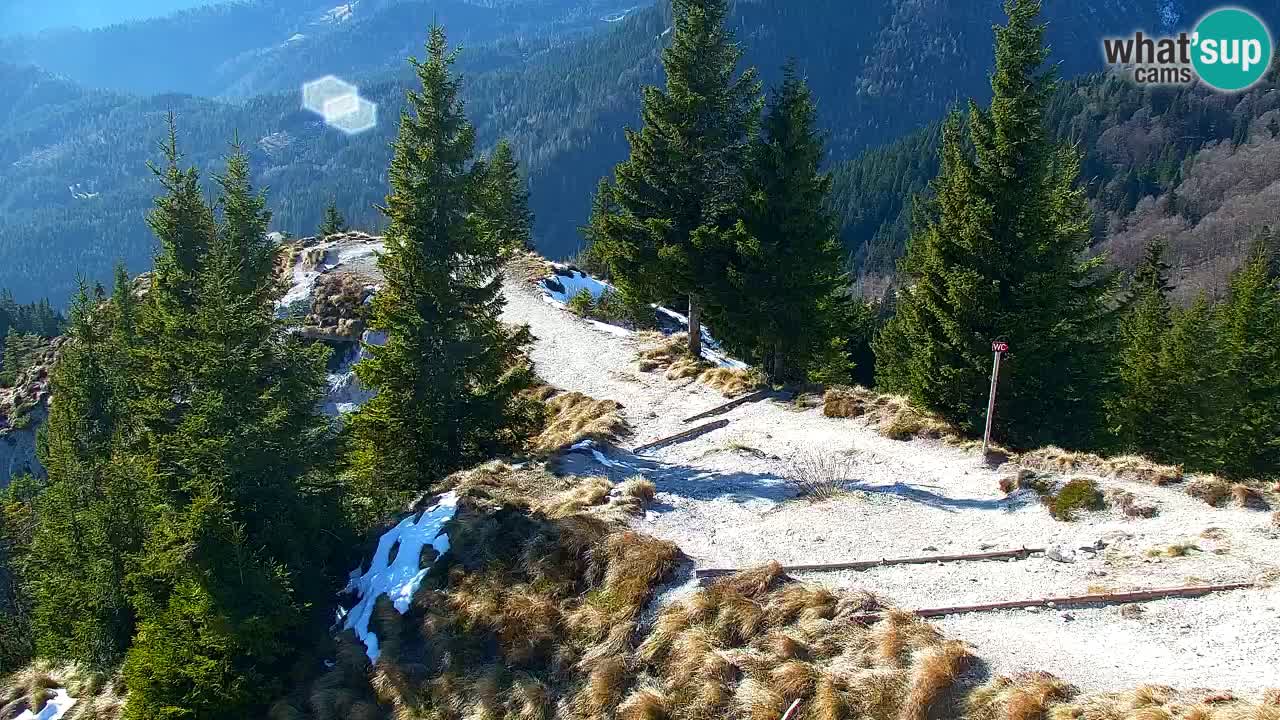Webcam Chalet sur Golica (1582 m) – Slovénie
