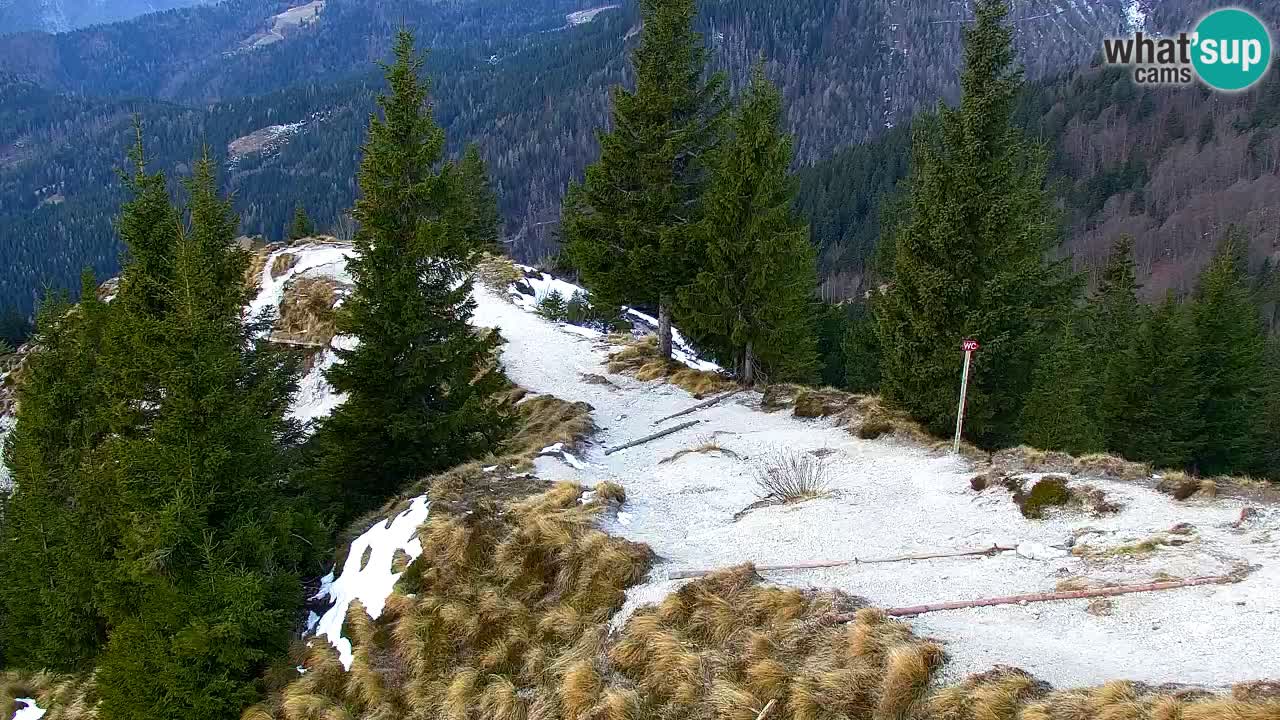 Web kamera Koča na Golici (1582 m) – Slovenija