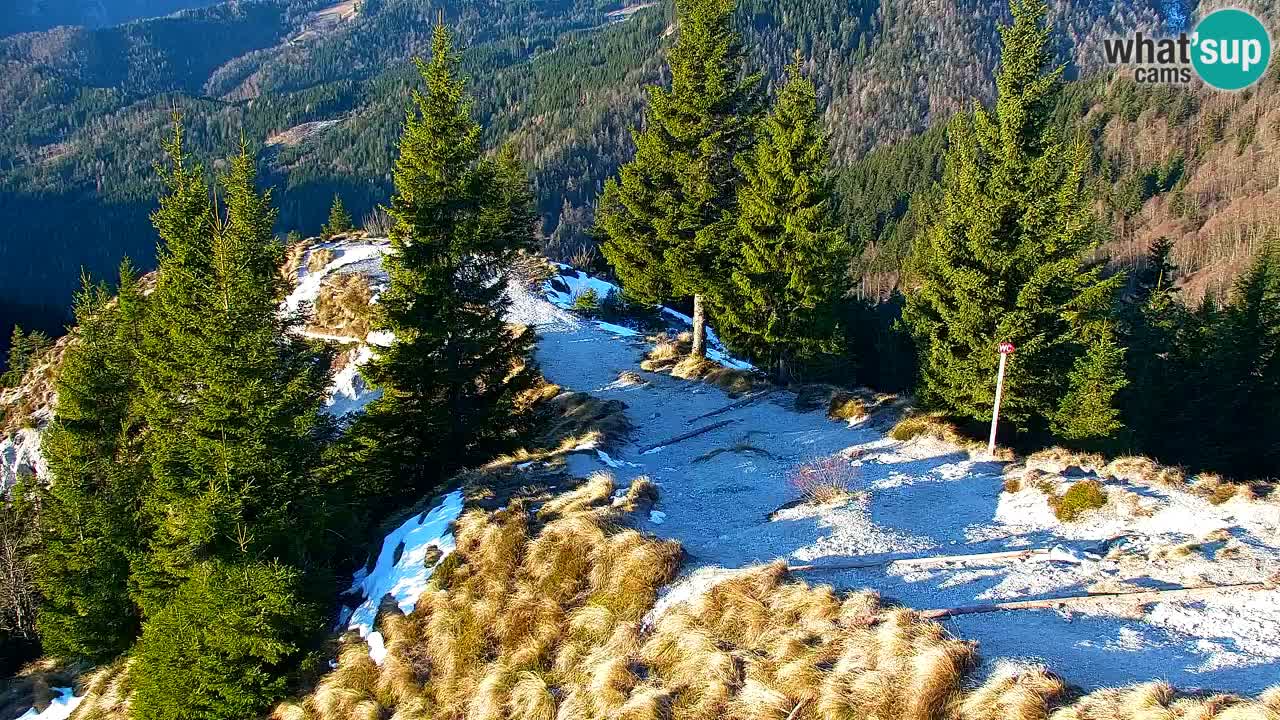 Webcam en Golica (1582 m) – Eslovenia