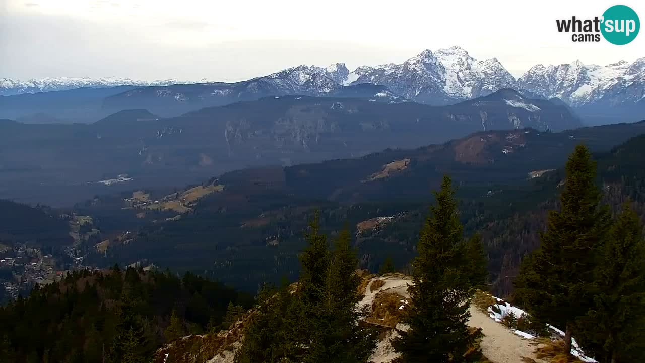 Koča na Golici Webcam (1582 m) – Slowenien