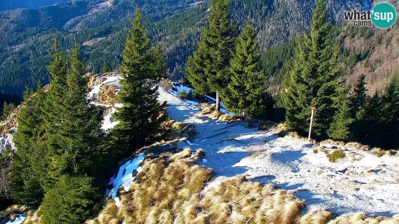 Webcam Koča na Golici (1582 m) – Slovenia