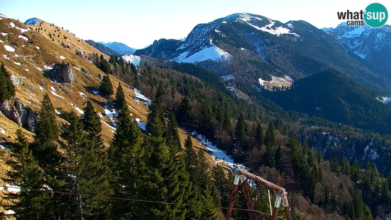 Koča na Golici Webcam (1582 m) – Slowenien