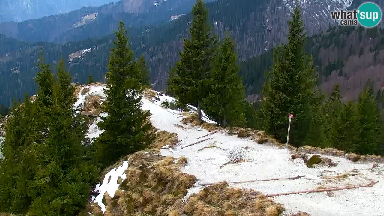 Webcam Koča na Golici (1582 m) – Slovenia