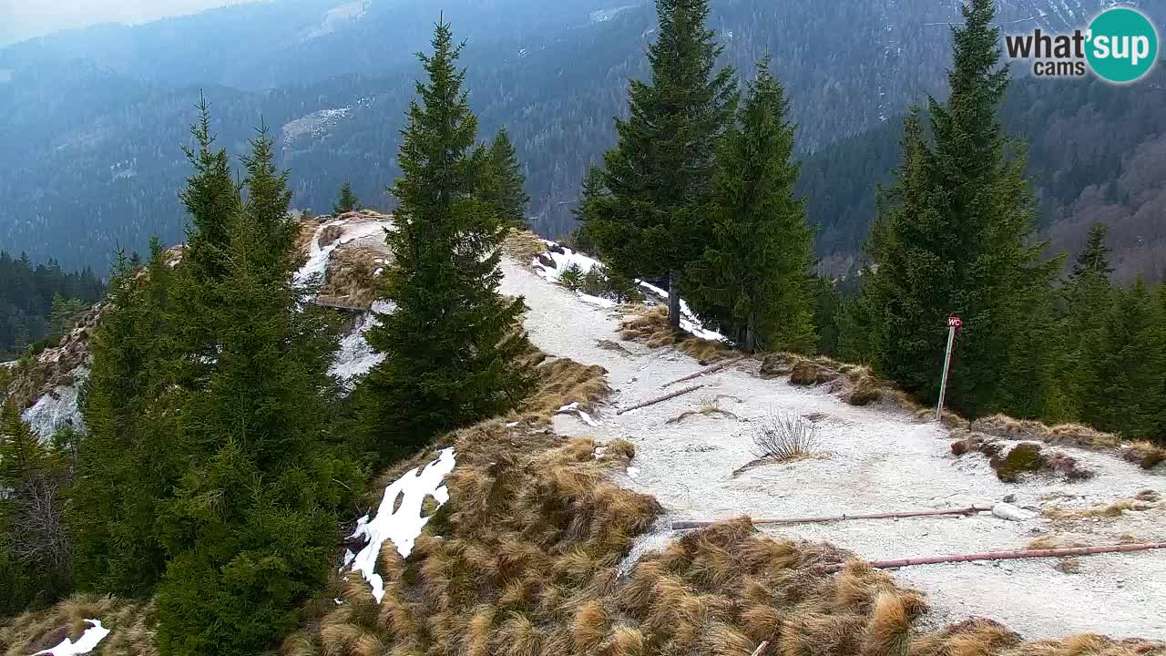 Webcam na Golici – Baita di montagna (1582 m) – Slovenia
