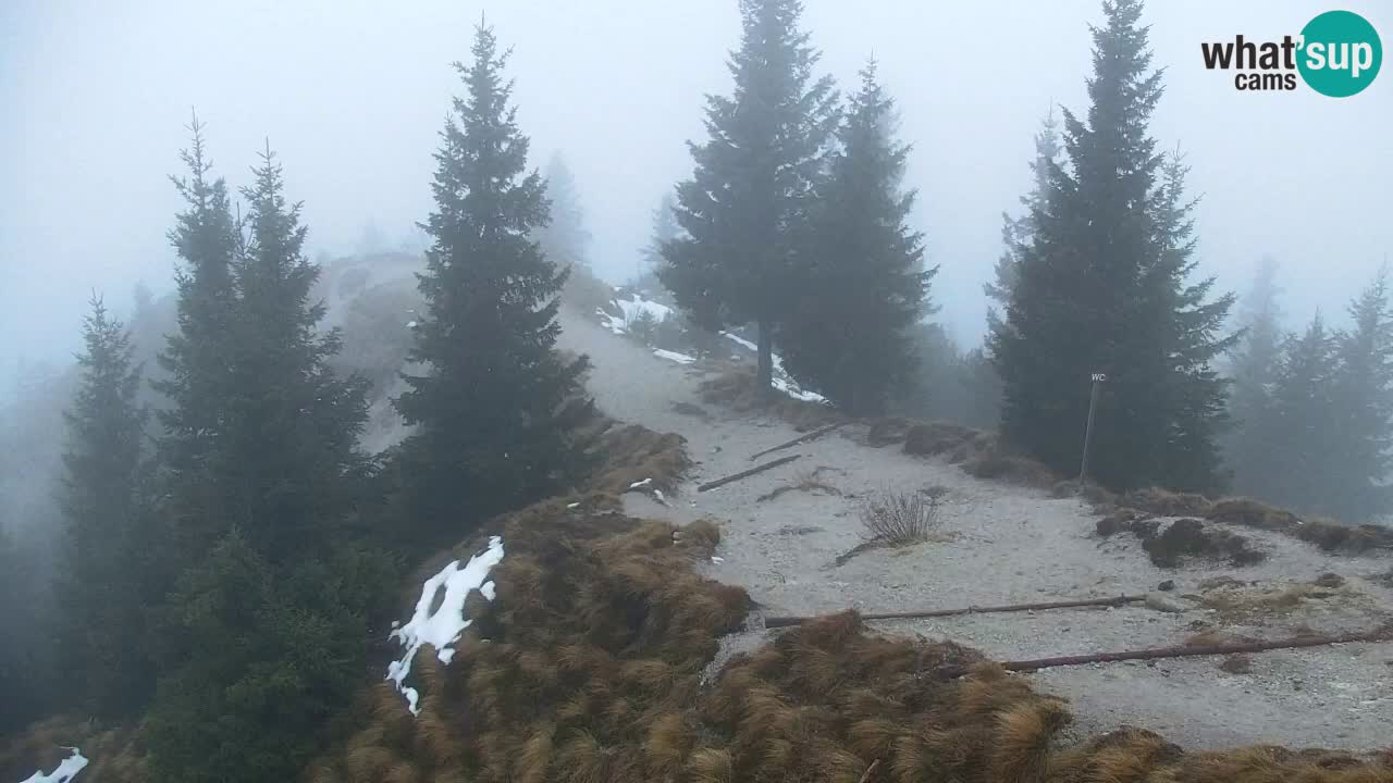 Webcam en Golica (1582 m) – Eslovenia