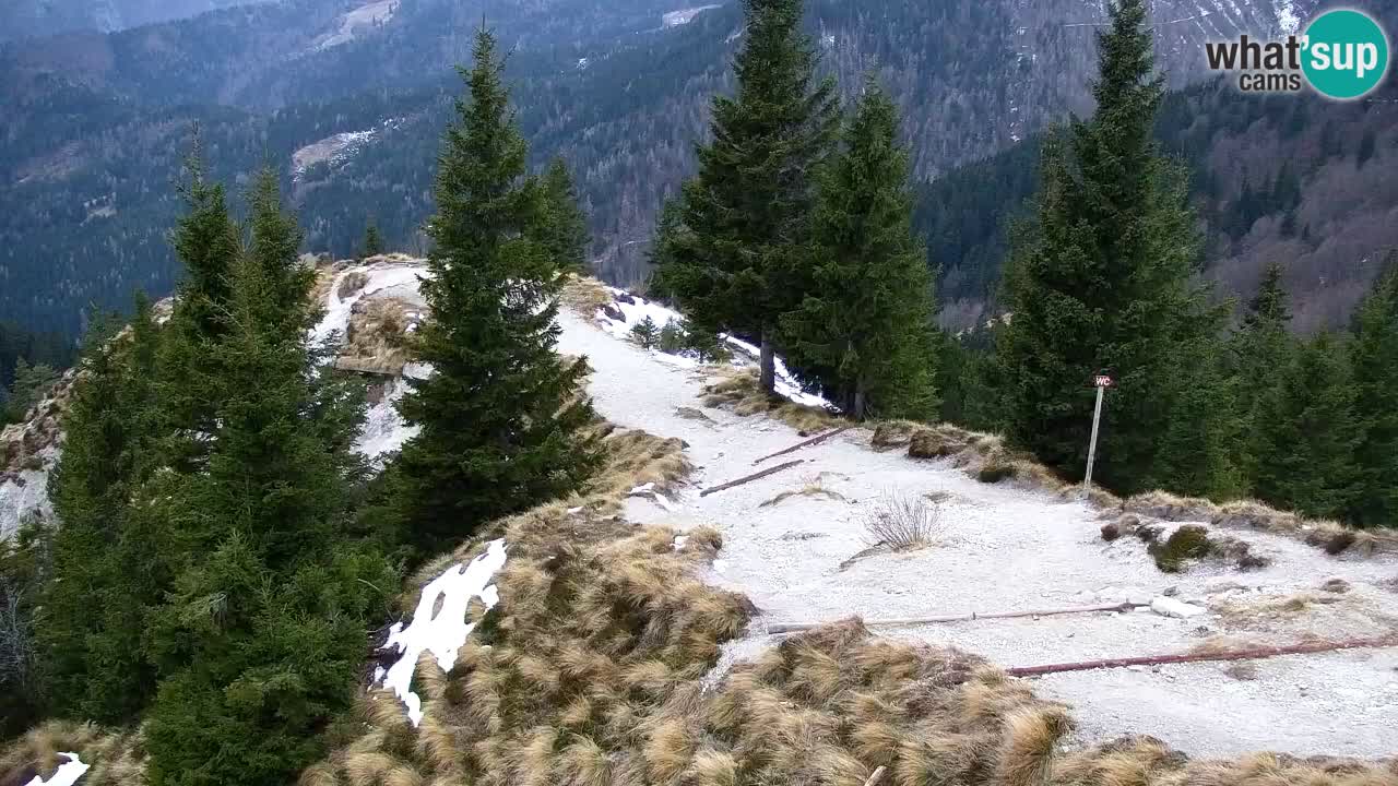 Webcam na Golici – Baita di montagna (1582 m) – Slovenia