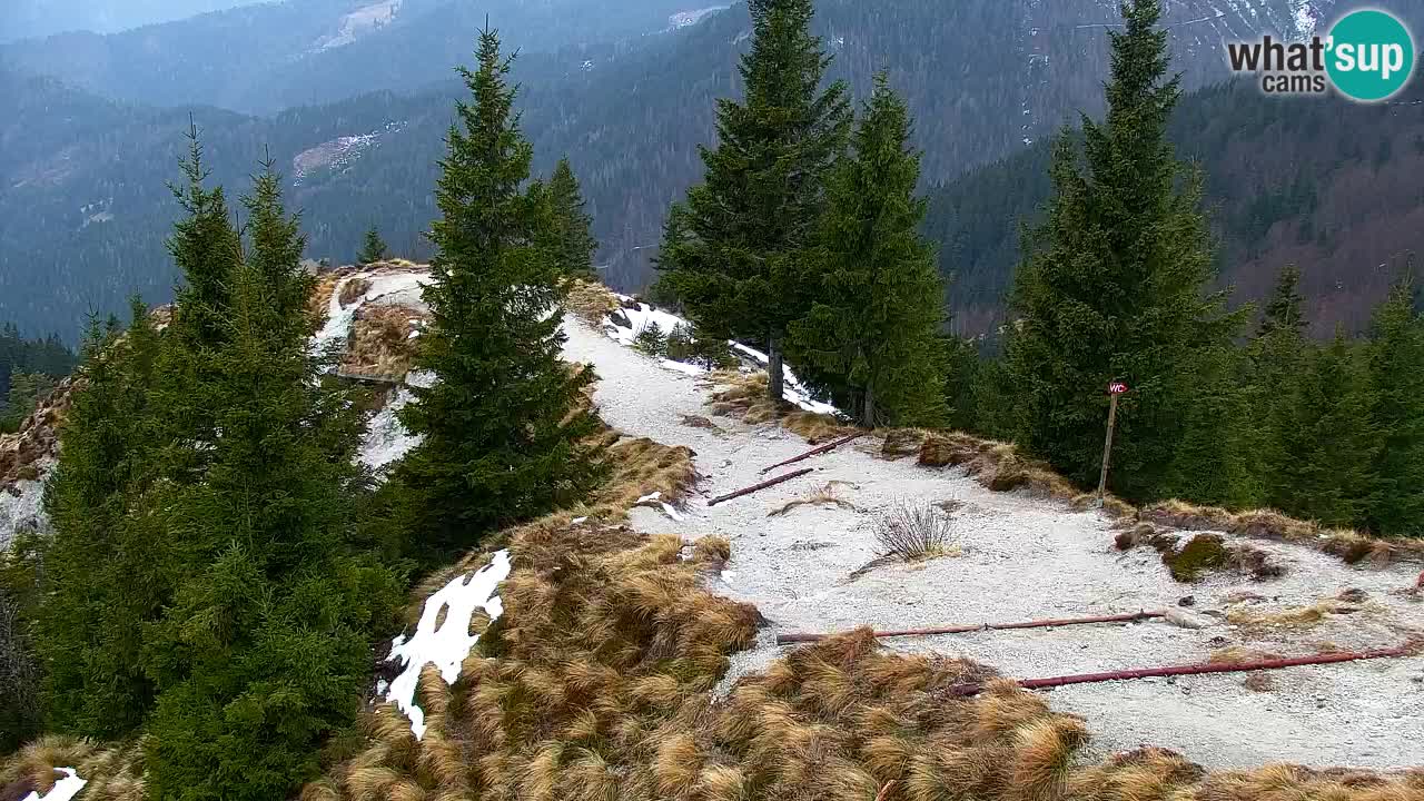 Webcam en Golica (1582 m) – Eslovenia
