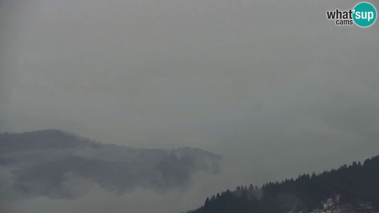 Webcam Koča na Golici (1582 m) – Slovenia