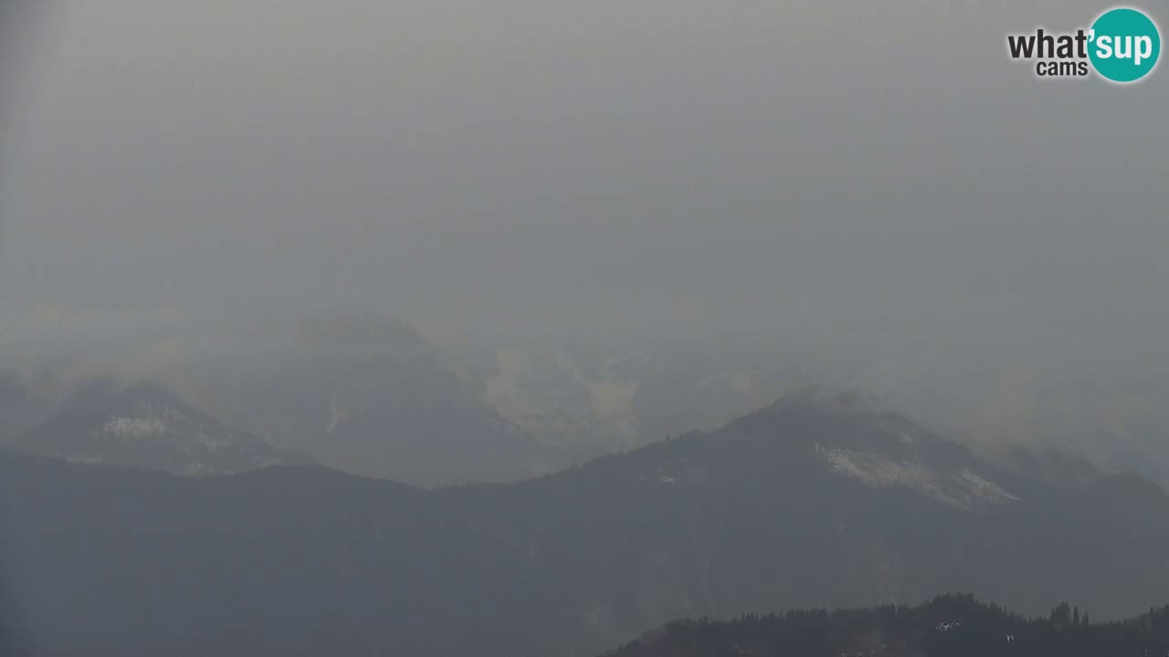 Koča na Golici Webcam (1582 m) – Slowenien