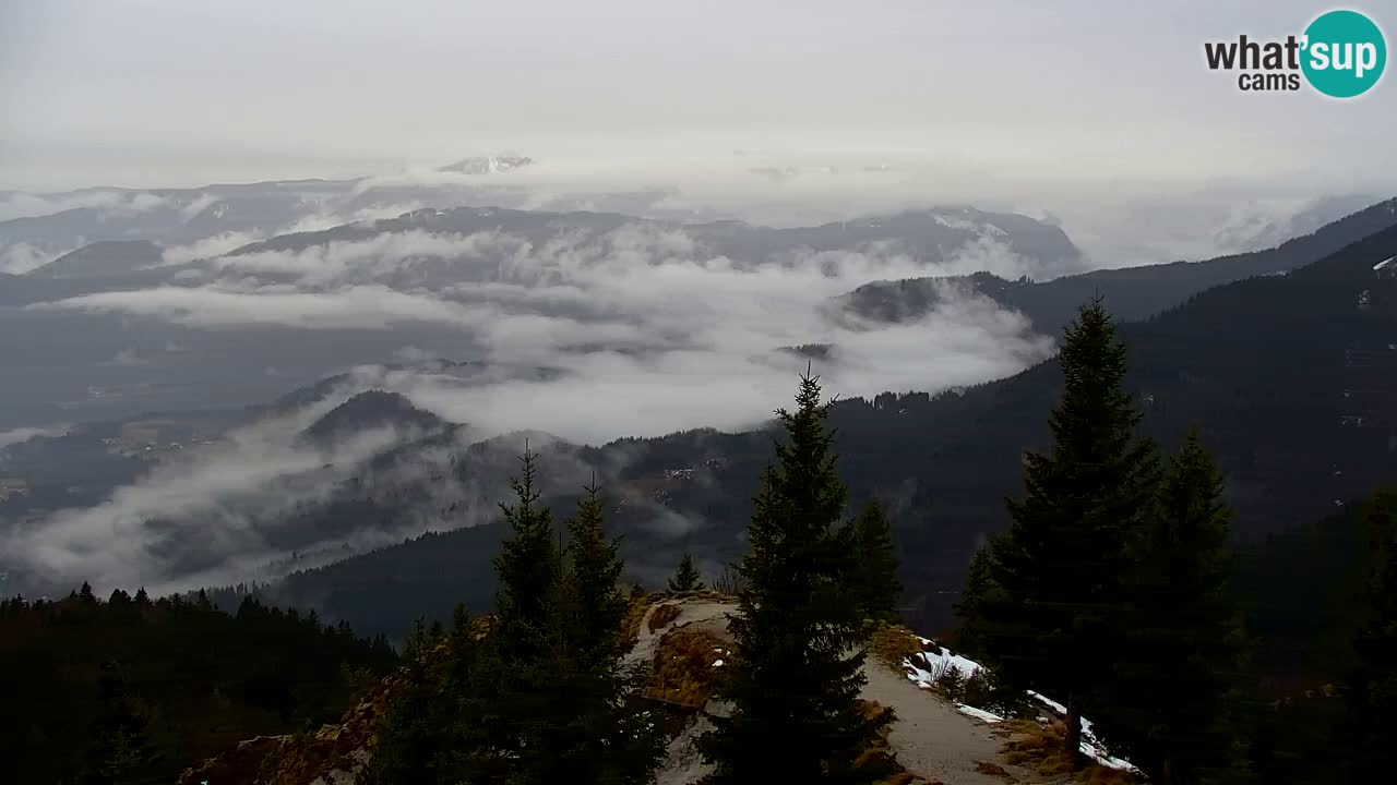 Web kamera Koča na Golici (1582 m) – Slovenija