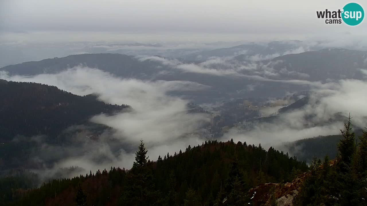 Webcam Koča na Golici (1582 m) – Slovenia