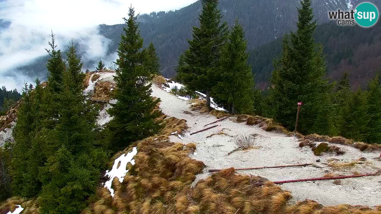 Webcam na Golici – Baita di montagna (1582 m) – Slovenia
