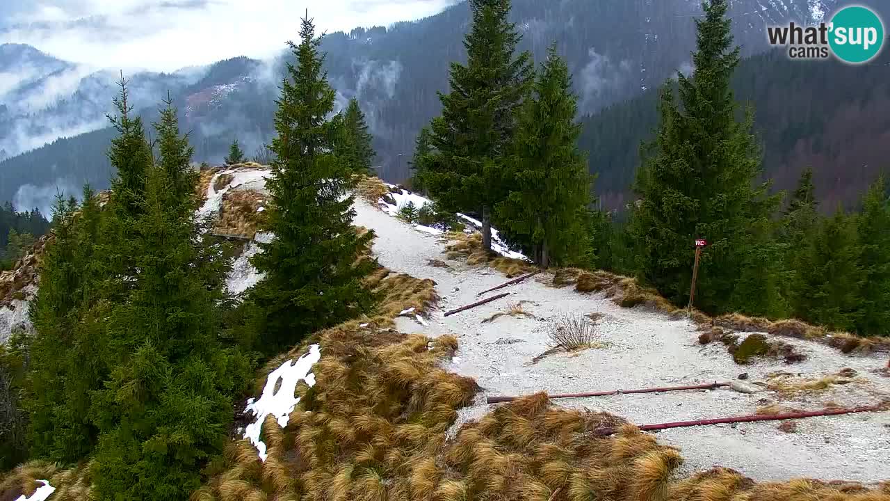 Koča na Golici Webcam (1582 m) – Slowenien