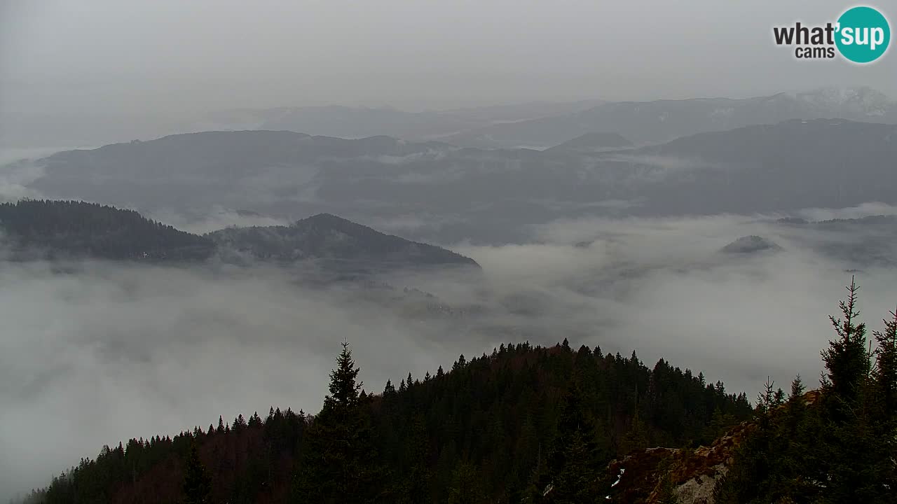 Webcam Chalet sur Golica (1582 m) – Slovénie