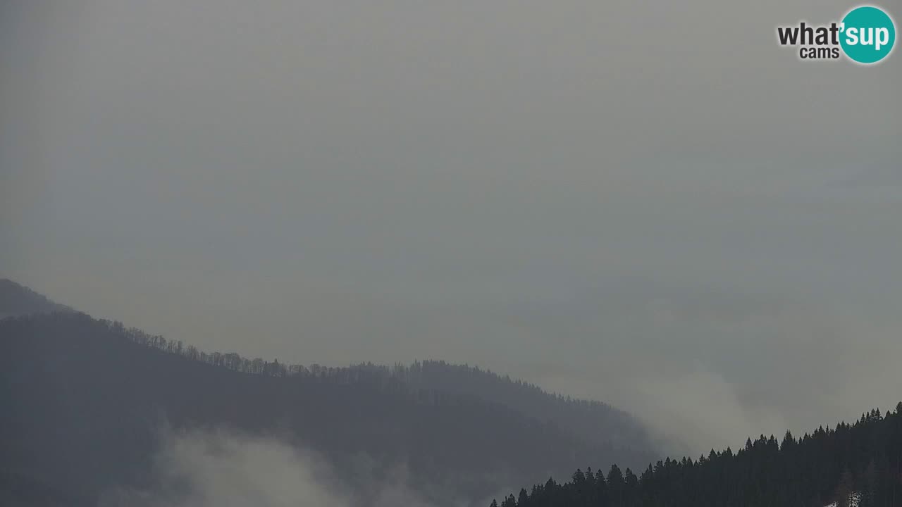 Webcam Koča na Golici (1582 m) – Slovenia