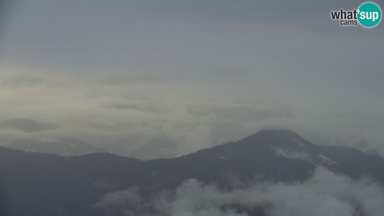 Koča na Golici Webcam (1582 m) – Slowenien