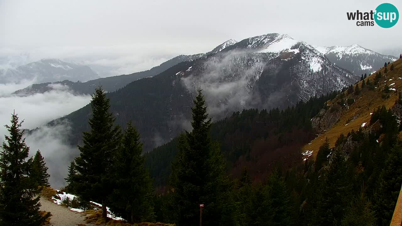 Koča na Golici Webcam (1582 m) – Slowenien