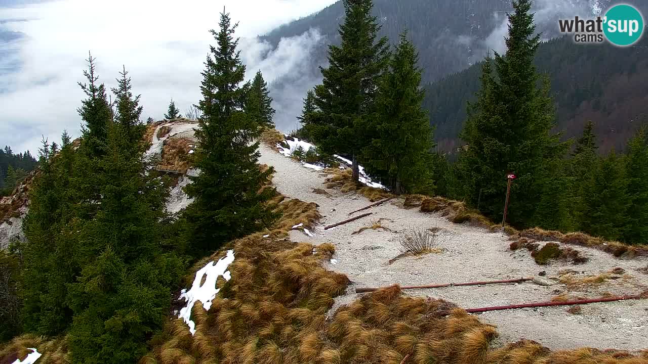 Webcam Chalet sur Golica (1582 m) – Slovénie