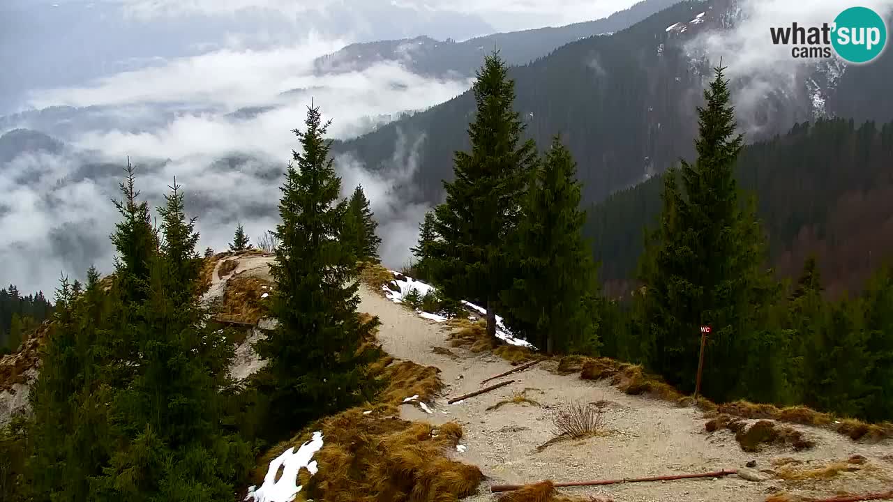 Webcam na Golici – Baita di montagna (1582 m) – Slovenia