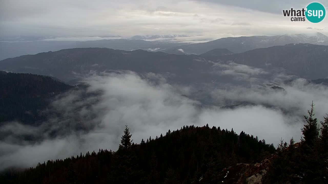 Koča na Golici Webcam (1582 m) – Slowenien