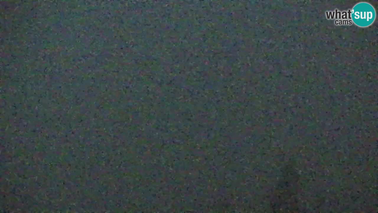 Web kamera Koča na Golici (1582 m) – Slovenija